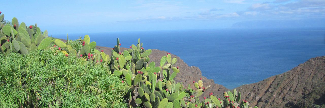 ocio en la gomera